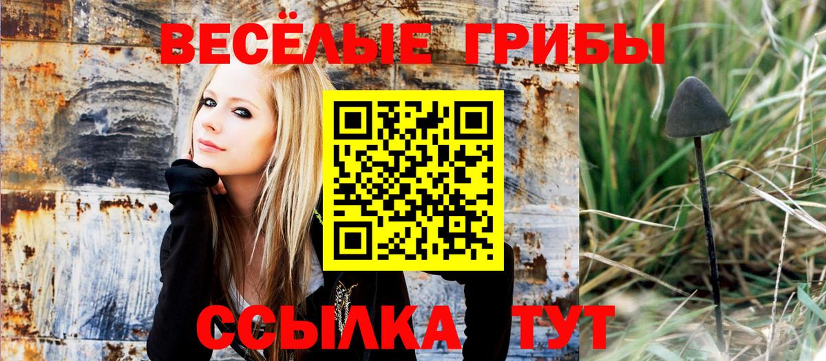 Азнакаево  Псилоцибиновые грибы Psilocybe  Вход с VPN 