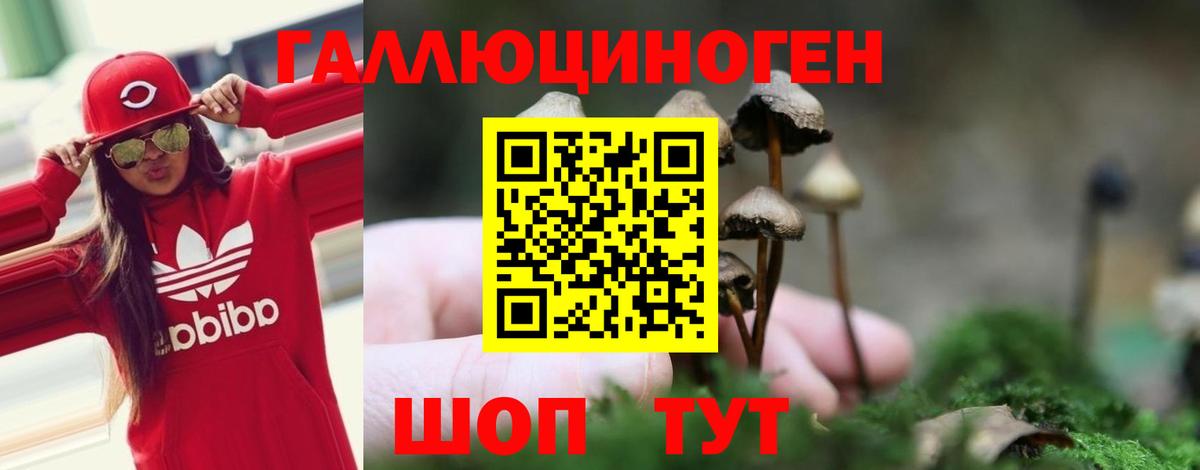 Псилоцибиновые грибы ЛСД Азнакаево